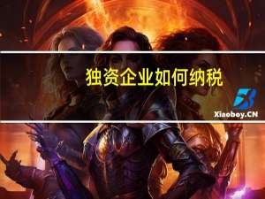 独资企业如何纳税