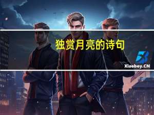 独赏月亮的诗句