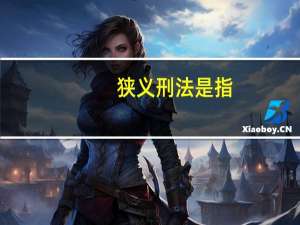 狭义刑法是指