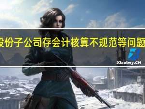狮头股份子公司存会计核算不规范等问题 被责令改正