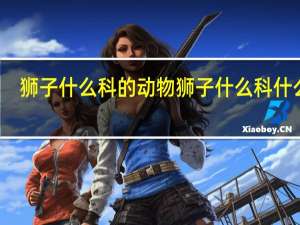 狮子什么科的动物 狮子什么科什么属