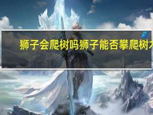 狮子会爬树吗 狮子能否攀爬树木？