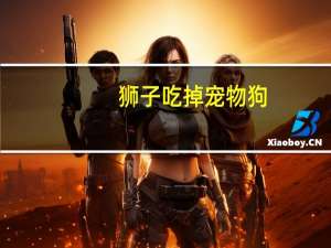 狮子吃掉宠物狗
