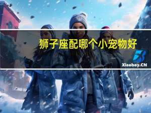 狮子座配哪个小宠物好