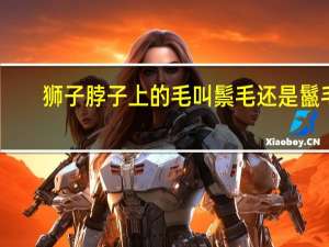 狮子脖子上的毛叫鬃毛还是鬣毛