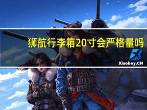 狮航行李箱20寸会严格量吗