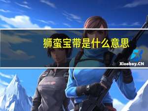 狮蛮宝带是什么意思