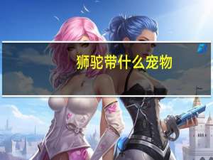 狮驼带什么宠物