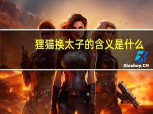 狸猫换太子的含义是什么