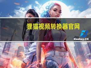 狸猫视频转换器官网（夜狸猫事件）