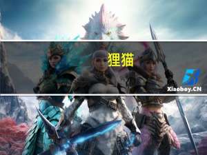 狸猫（关于狸猫的介绍）