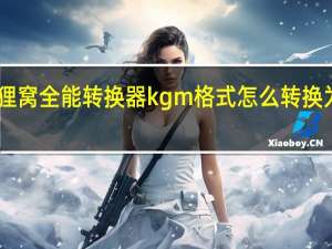 狸窝全能转换器kgm格式怎么转换为mp3（狸窝全能转换器）