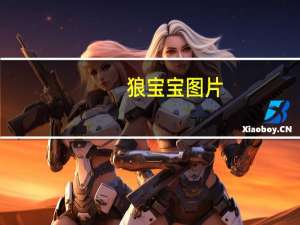 狼宝宝图片（狼宝）
