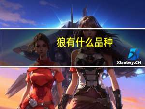 狼有什么品种