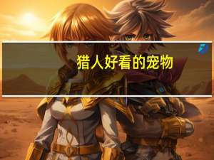 猎人好看的宠物