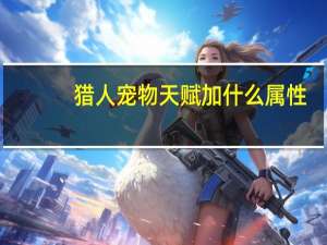 猎人宠物天赋加什么属性
