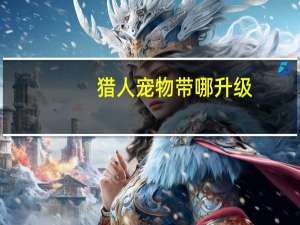 猎人宠物带哪升级