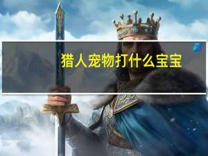 猎人宠物打什么宝宝
