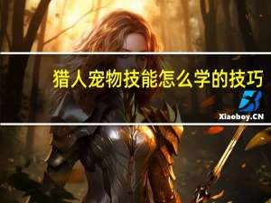 猎人宠物技能怎么学的技巧