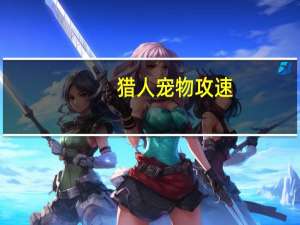 猎人宠物攻速