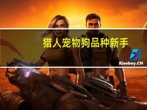 猎人宠物狗品种新手