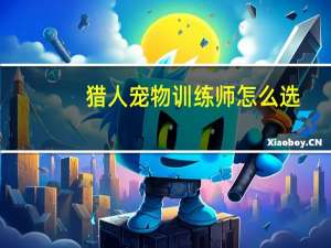 猎人宠物训练师怎么选