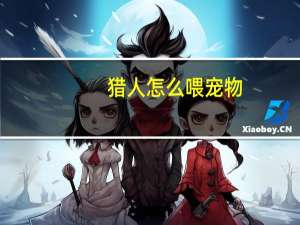 猎人怎么喂宠物