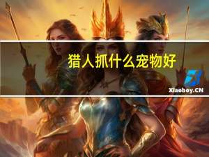 猎人抓什么宠物好