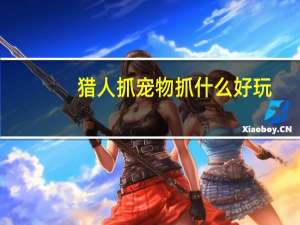 猎人抓宠物抓什么好玩