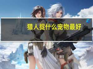 猎人捉什么宠物最好