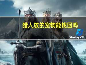 猎人放的宠物能找回吗