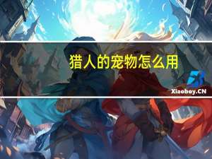 猎人的宠物怎么用