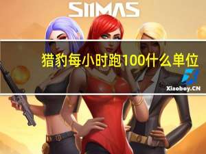 猎豹每小时跑100什么单位
