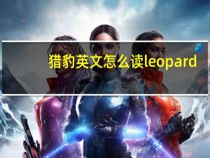 猎豹英文怎么读leopard