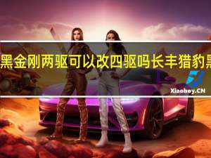 猎豹黑金刚两驱可以改四驱吗 长丰猎豹黑金刚改装