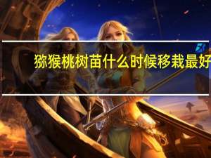 猕猴桃树苗什么时候移栽最好