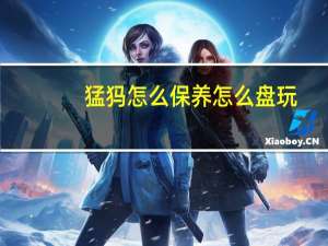 猛犸怎么保养怎么盘玩