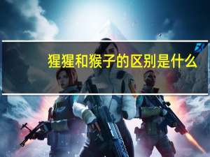 猩猩和猴子的区别是什么