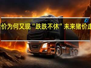 猪价为何又现“跌跌不休”未来猪价走势如何？专家解答 到底什么情况呢