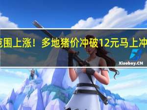 猪价大范围上涨！多地猪价冲破12元 马上冲上13元真的吗