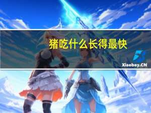 猪吃什么长得最快