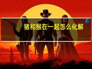猪和猴在一起怎么化解（猪和猴）