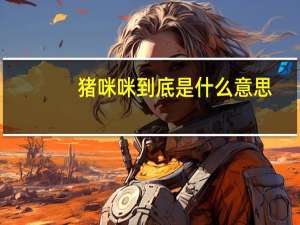 猪咪咪到底是什么意思