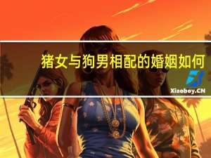 猪女与狗男相配的婚姻如何