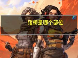 猪柳是哪个部位