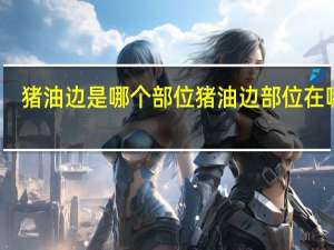 猪油边是哪个部位 猪油边部位在哪里