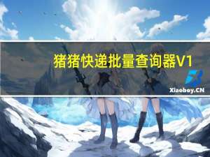 猪猪快递批量查询器 V1.4.0.0 绿色免费版（猪猪快递批量查询器 V1.4.0.0 绿色免费版功能简介）