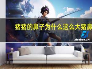 猪猪的鼻子为什么这么大 猪鼻子为什么长这样