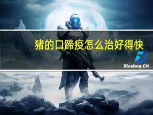 猪的口蹄疫怎么治好得快