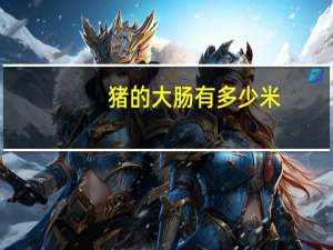 猪的大肠有多少米